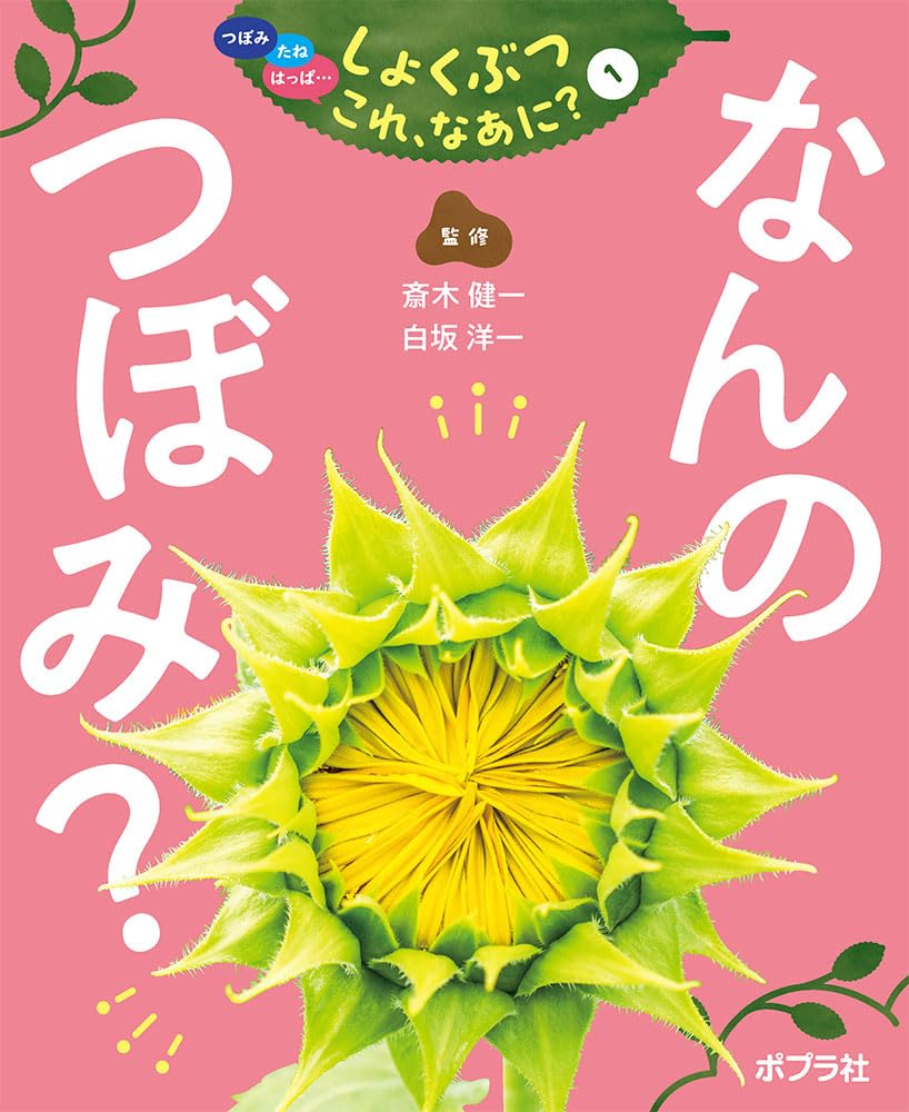 つぼみ・たね・はっぱ・・・しょくぶつ　これ、なあに？（全7巻）（単行本） なんの はっぱ？ (つぼみ・たね・はっぱ・・・しょくぶつこれ、なあに